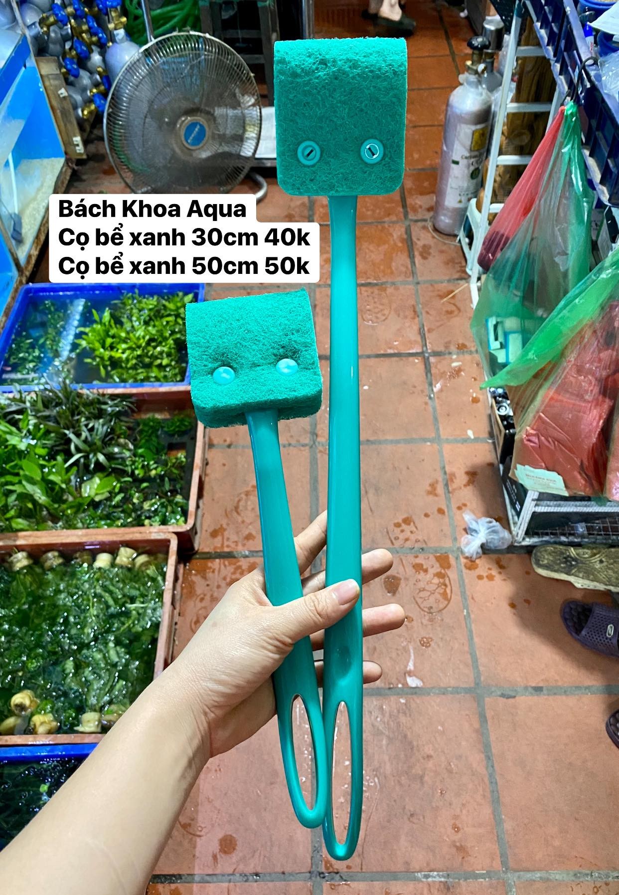 Cọ mút vệ sinh bể cá 30cm - 50cm
